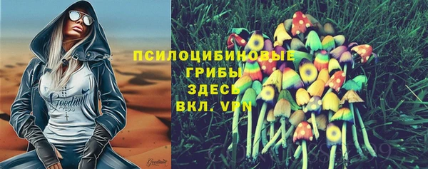 стафф Баксан