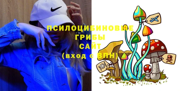 дмт Балахна