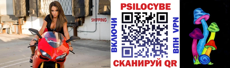 Псилоцибиновые грибы ЛСД  ОМГ ОМГ как зайти  Шагонар 
